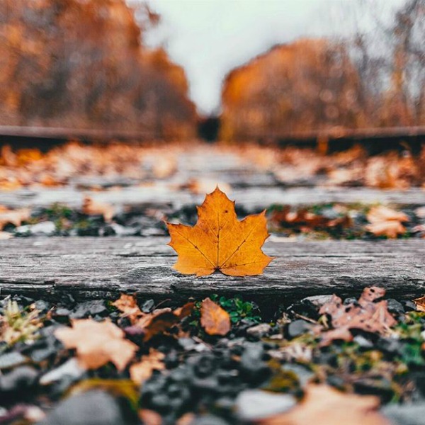 Colors of autumn ig