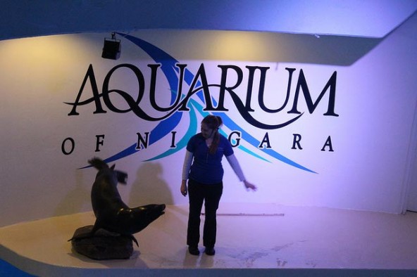 Aquarium-of-Niagara-Falls