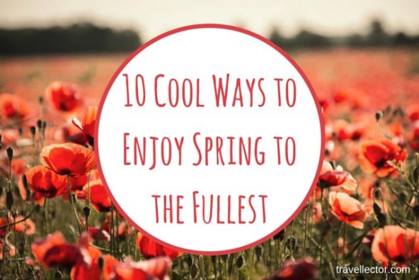 10-cool-ways-to-enjoy-spring-to-the-fullest