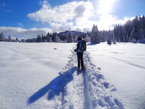snowshoeing in the alps