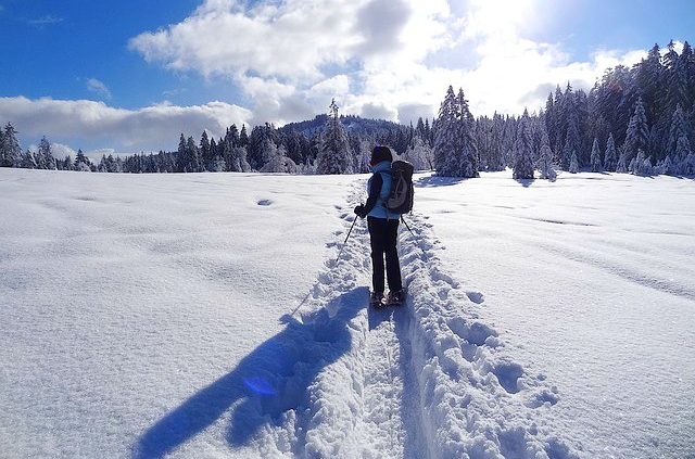 snowshoeing in the alps